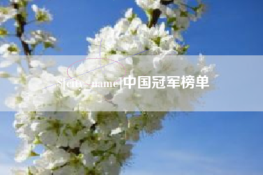 永康中国冠军榜单
