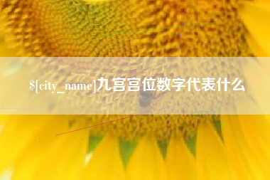 永康九宫宫位数字代表什么