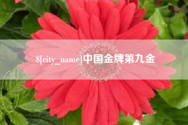 永康中国金牌第九金