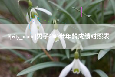 永康男子5000米年龄成绩对照表