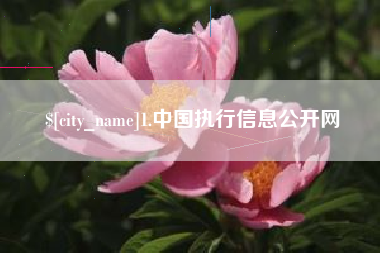 永康1.中国执行信息公开网