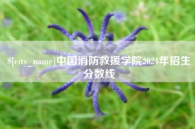 永康中国消防救援学院2024年招生分数线