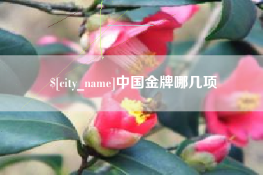 永康中国金牌哪几项
