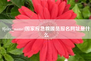 永康国家应急救援员报名网址是什么