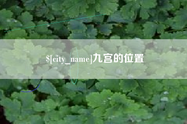 永康九宫的位置