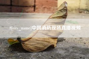 永康中国消防现场直播视频