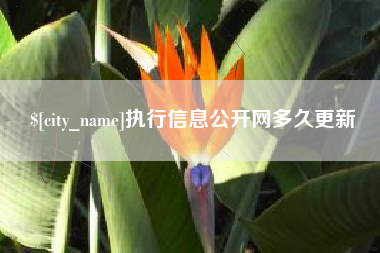 永康执行信息公开网多久更新