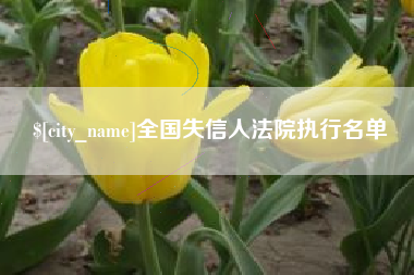 永康全国失信人法院执行名单
