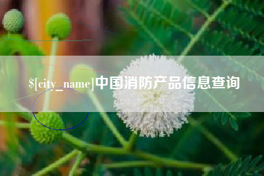 永康中国消防产品信息查询