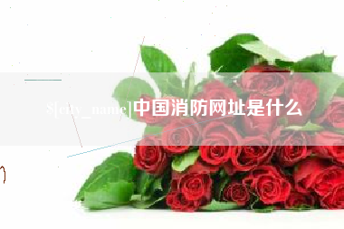 永康中国消防网址是什么