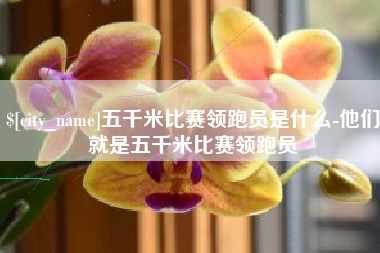 永康五千米比赛领跑员是什么-他们就是五千米比赛领跑员