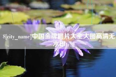 永康中国金牌图片大全大图高清无水印
