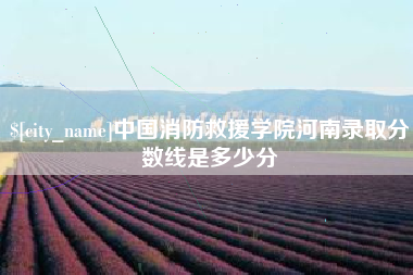 永康中国消防救援学院河南录取分数线是多少分
