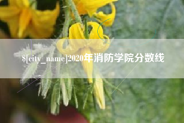 永康2020年消防学院分数线