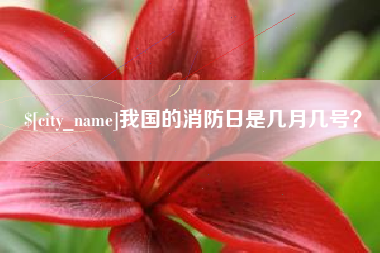 永康我国的消防日是几月几号？