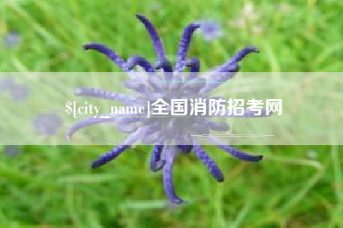 永康全国消防招考网