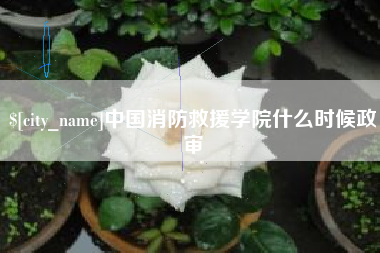 永康中国消防救援学院什么时候政审