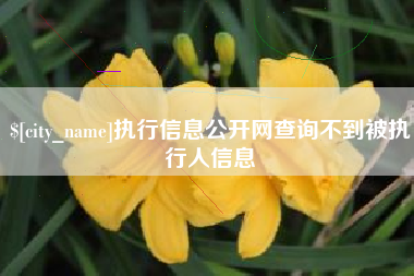 永康执行信息公开网查询不到被执行人信息