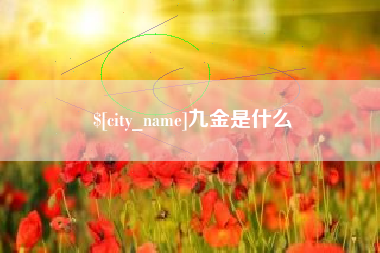 永康九金是什么