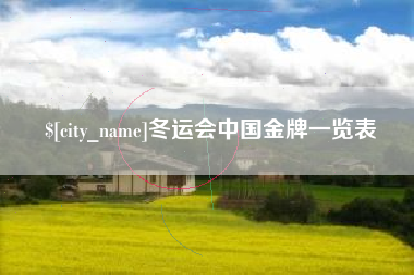 永康冬运会中国金牌一览表