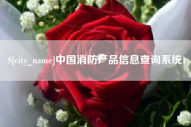 永康中国消防产品信息查询系统1