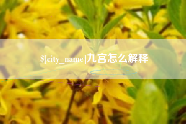 永康九宫怎么解释