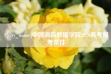 永康中国消防救援学院2020高考报考条件