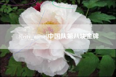 永康中国队第八块金牌