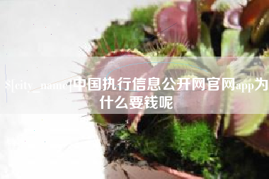 永康中国执行信息公开网官网app为什么要钱呢