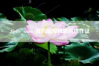 永康消防证国网查询操作证