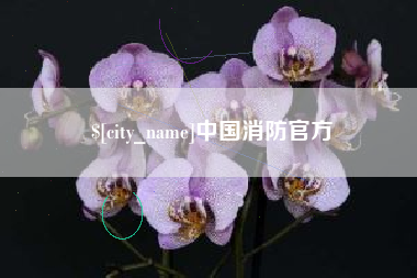 永康中国消防官方