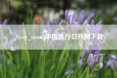 永康中国执行公开网下载