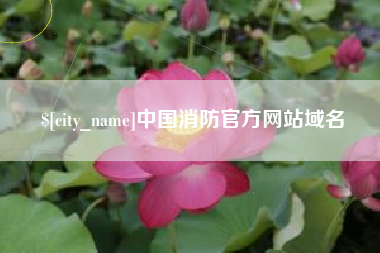 永康中国消防官方网站域名