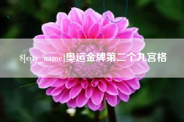 永康奥运金牌第二个九宫格