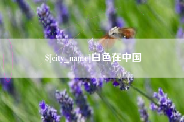 永康白色在中国