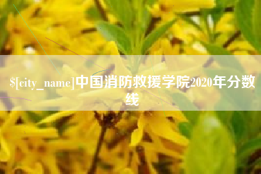 永康中国消防救援学院2020年分数线