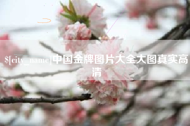 永康中国金牌图片大全大图真实高清