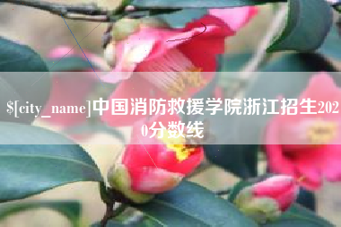 永康中国消防救援学院浙江招生2020分数线