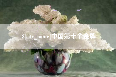 永康中国第十个金牌