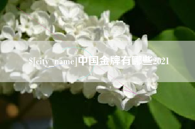 永康中国金牌有哪些2021