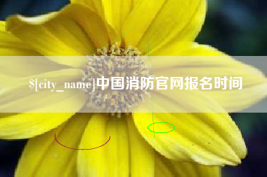 永康中国消防官网报名时间
