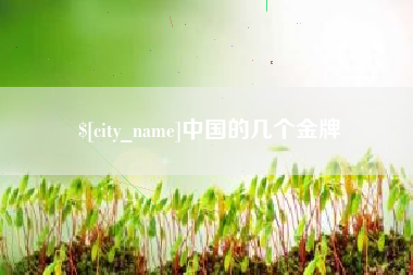 永康中国的几个金牌