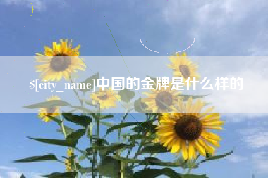 永康中国的金牌是什么样的