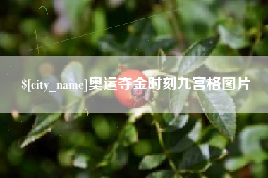 永康奥运夺金时刻九宫格图片