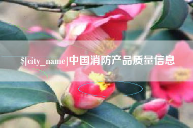 永康中国消防产品质量信息