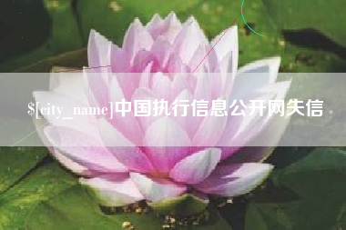 永康中国执行信息公开网失信