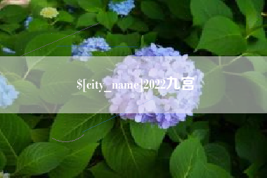 永康2022九宫