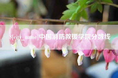 永康中国消防救援学院分数线