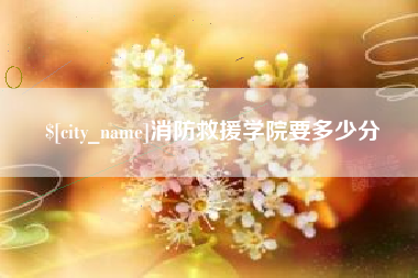永康消防救援学院要多少分