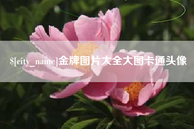 永康金牌图片大全大图卡通头像